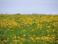IMG 0838