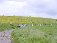 IMG 0839