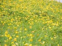 IMG 0845