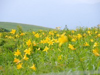 IMG 0847