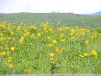 IMG 0852