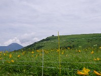 IMG 0853