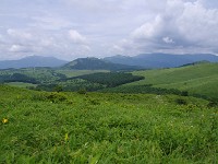 IMG 0854