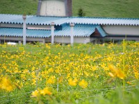 IMG 0857
