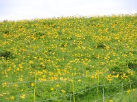 IMG 0864