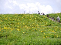 IMG 0865