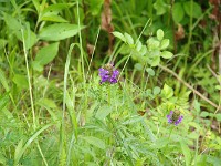 IMG 0872