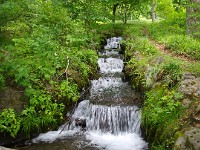 IMG 0873