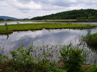 IMG 0874