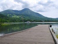 IMG 0877