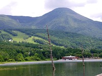 IMG 0878