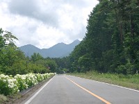 IMG 0881