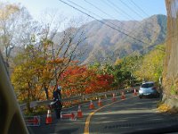 IMG 1351  道端の紅葉がキレイ