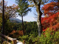 IMG 1357  富士山、分かりますか？