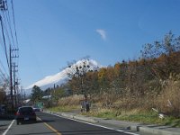 IMG 1375  枝に有るのは鳥の巣？