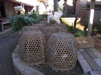 ご馳走の元