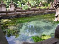 湧水