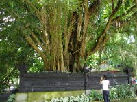 IMG 2753
