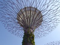 新しい植物園