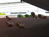 IMG 3025