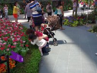 どんな香り？