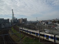 IMG 8451
