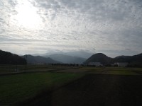 IMG 8471