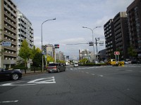IMG 8484