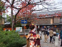 白川付近