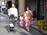 The kyouto