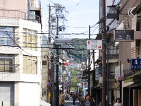 IMG 8524