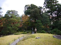 庭の持ち主？