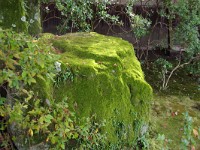 IMG 8538