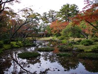 奥の池周り