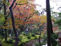 無鄰菴の紅葉・・・イマイチ！