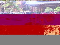 今年の京都の象徴か？