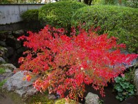 IMG 8566