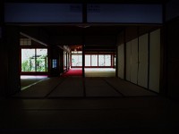 IMG 8571