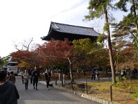 IMG 8578