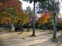 IMG 8588