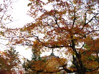 IMG 8589