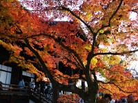今回の旅の1枚