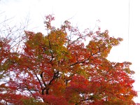 以下栄摂院