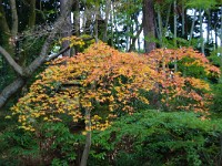 IMG 8628