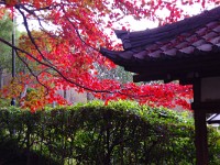 これぞ！京都