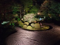 IMG 8646