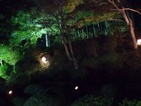 IMG 8649