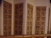 IMG 8653