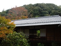IMG 8668