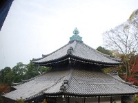変わった屋根ですね
